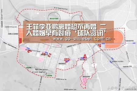 王菲李亚鹏离婚恐不再婚 二人婚姻早有裂痕‘球队资讯’(图3) 球队资讯