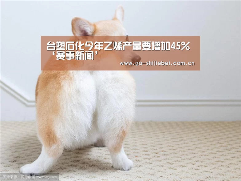 台塑石化今年乙烯产量要增加45%‘赛事新闻’(图2) 世界杯赛程