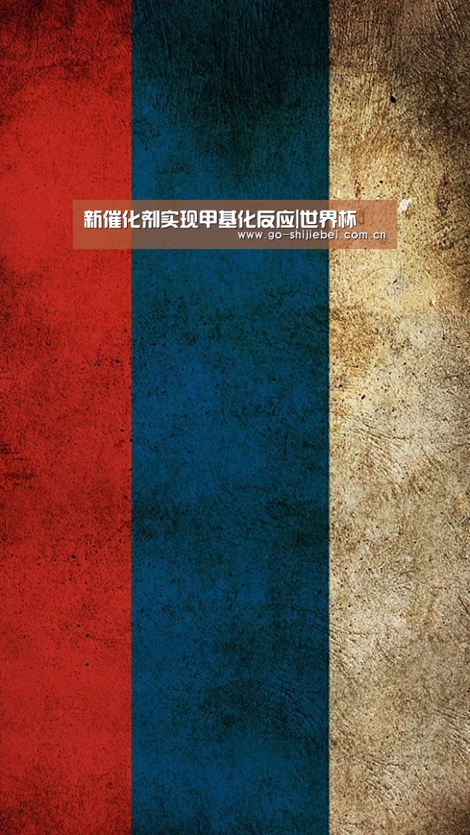 新催化剂实现甲基化反应|世界杯