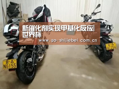 新催化剂实现甲基化反应|世界杯(图2) 世界杯赛程
