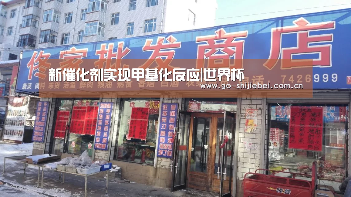 新催化剂实现甲基化反应|世界杯(图3) 赛事新闻