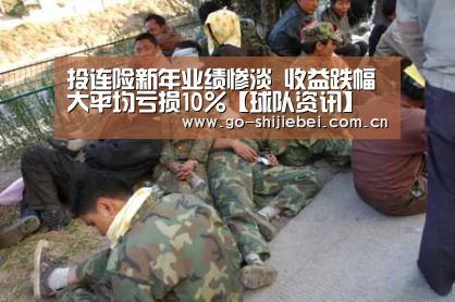 投连险新年业绩惨淡 收益跌幅大平均亏损10%【球队资讯】(图1) 世界杯赛程