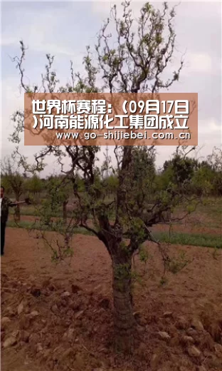 世界杯赛程