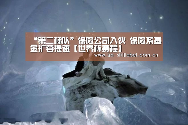 “第二梯队”保险公司入伙 保险系基金扩容提速【世界杯赛程】(图3) 球队资讯