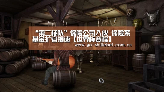 “第二梯队”保险公司入伙 保险系基金扩容提速【世界杯赛程】(图2) 赛事新闻