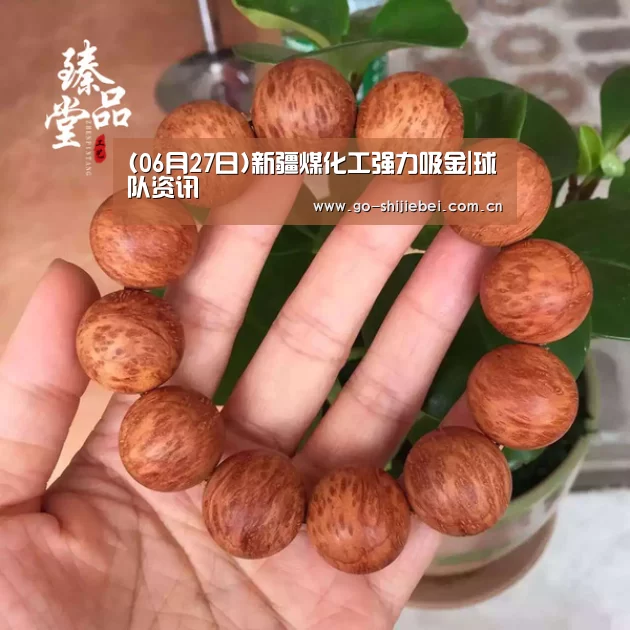 世界杯赛程