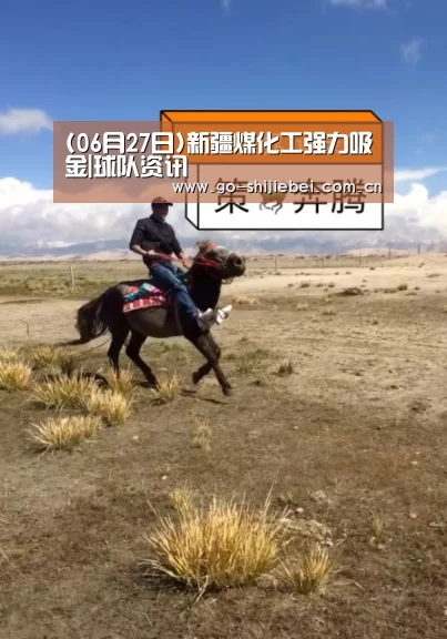 赛事新闻